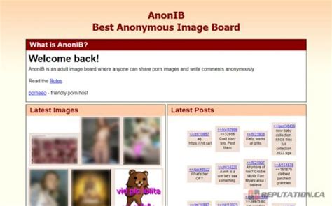 anon.ib|Authorities shut down notorious revenge porn site